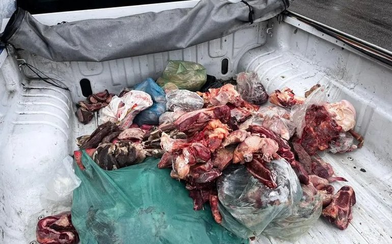 Vigilância Sanitária apreende 250 kg de carnes estragadas em frigorífico da capital