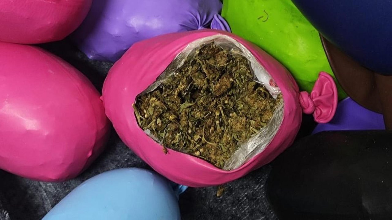 PM apreende quase dez quilos de maconha escondidos em balões de festa durante operação em Murici