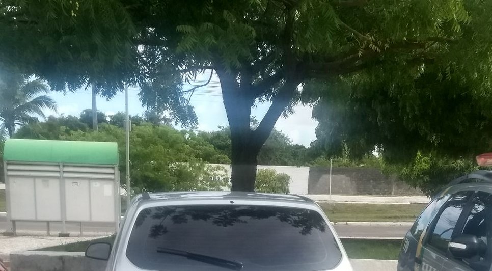 carro roubado