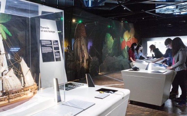 &#8216;Darwin, o Original&#8217; expõe revolução científica em forma de jogos lúdicos