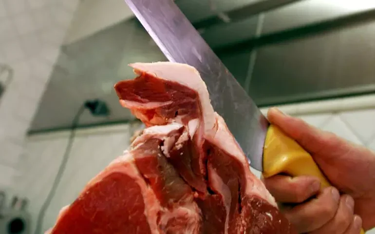 União Europeia proíbe importação de carne brasileira por uso de antimicrobianos