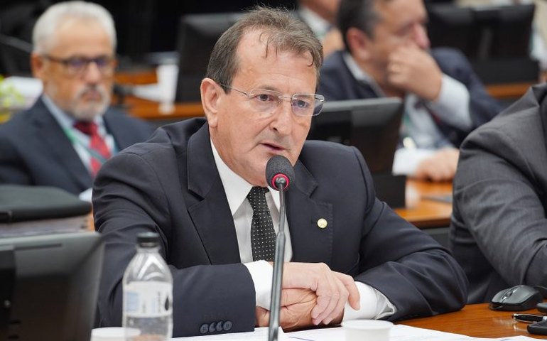 Comissão aprova tarifa social na conta de luz para abrigos de proteção animal