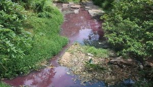 Corpo é encontrado enterrado em cova rasa às margens do Rio Piauitinga no Sul Sergipano