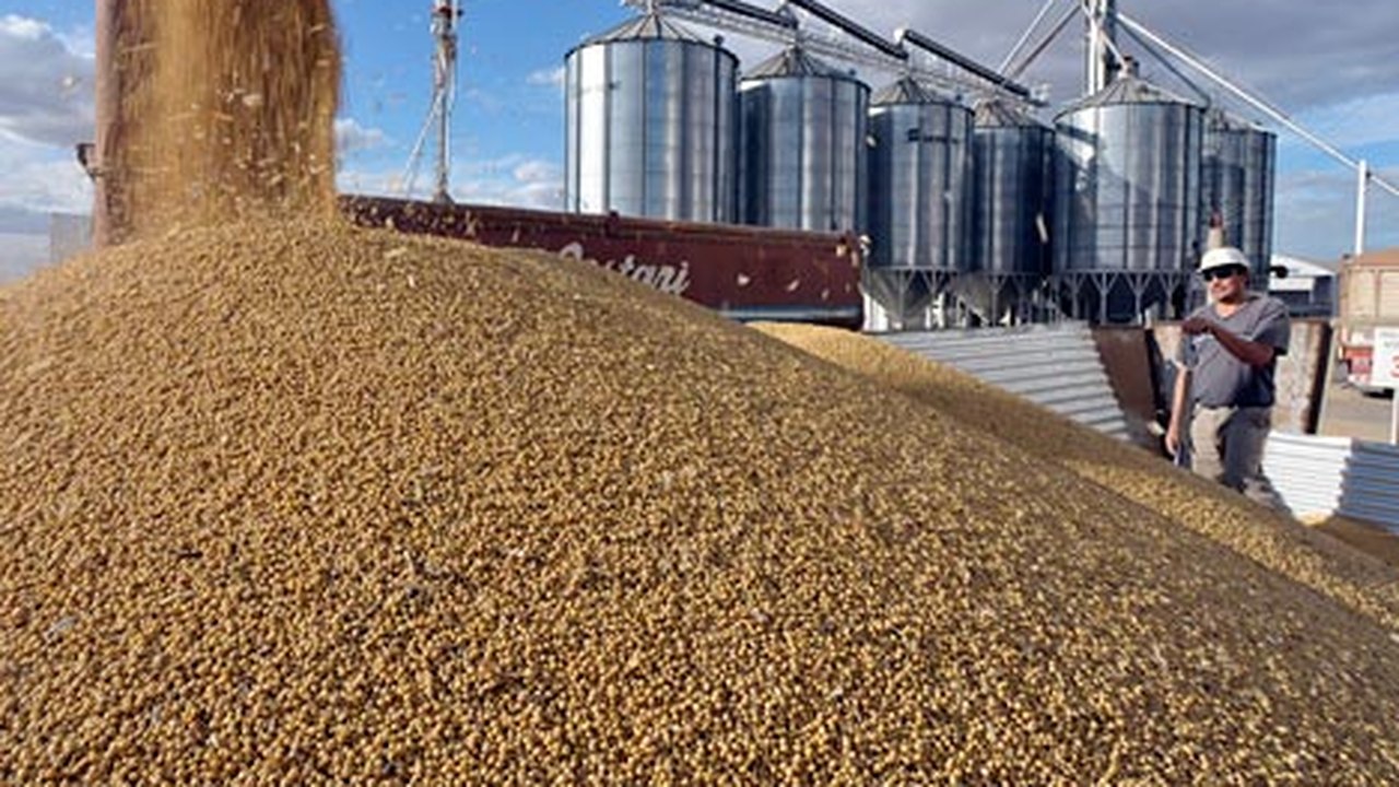 Capacidade de armazenamento agrícola teve retração, diz IBGE
