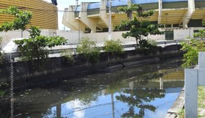 Canal-Anisio-Azevedo / Foto: Foto: Reprodução