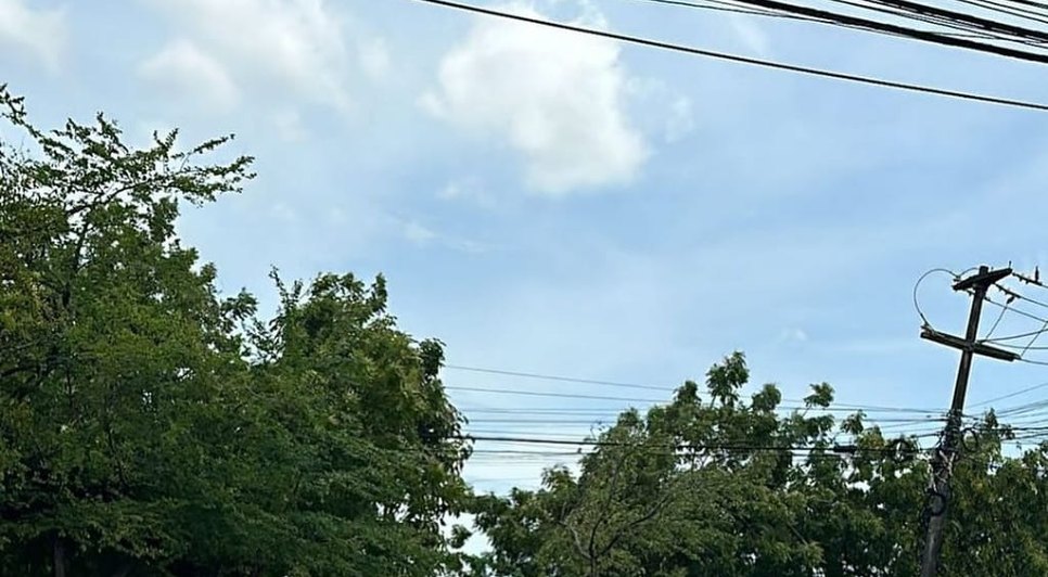 50ff004e-1633-4c87-bbd6-92ec89da10d0