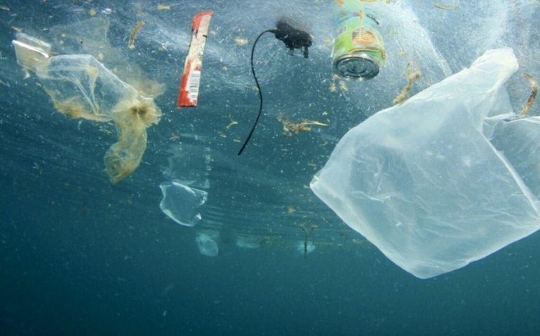 Lixo urbano levado pelo mar polui praias limpas no Rio Grande do Norte e Paraíba