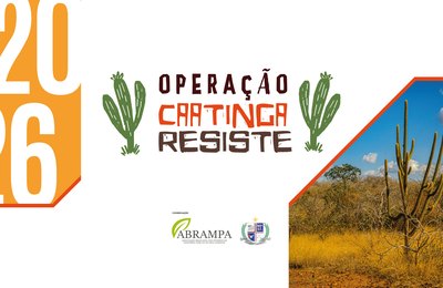 Começa hoje a Operação Caatinga Resiste, ação nacional contra o desmatamento no semiárido brasileiro