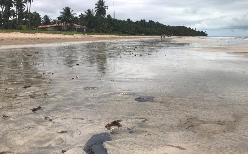 Equipe do IMA organiza mutirões de limpeza das praias atingidas por óleo