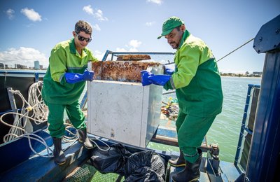 Ecoboats retiram mais de 260 toneladas de resíduos de biomas marinhos no primeiro semestre de 2025