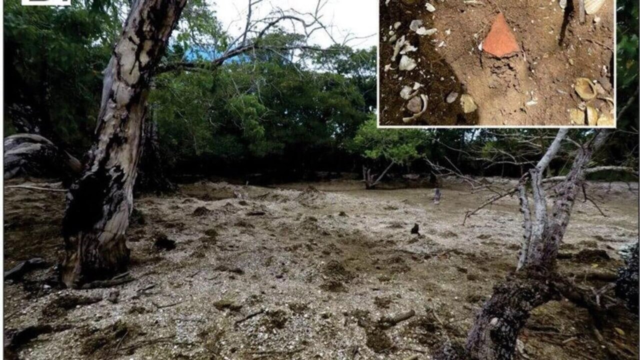 É possível construir uma ilha a partir de restos de comida? Cientistas dizem que sim