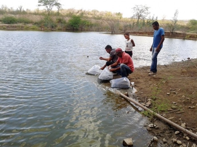 Famílias do Sertão alagoano recebem alevinos para Semana Santa