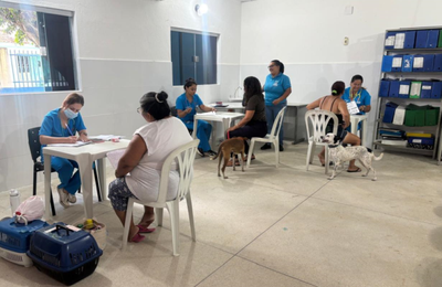 Centro de Castração Animal realiza dia de Atendimentos Descentralizado no Distrito Luziápolis