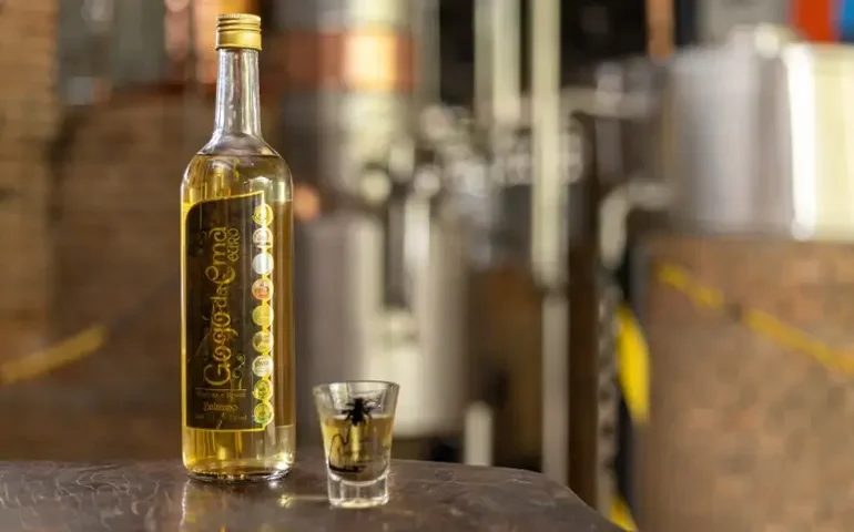 Dia da Cachaça brinda sucesso de roteiro que coloca o Agreste alagoano no mapa turístico do país