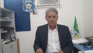 Polícia investiga morte de gatos por envenenamento no Tabuleiro do Martins