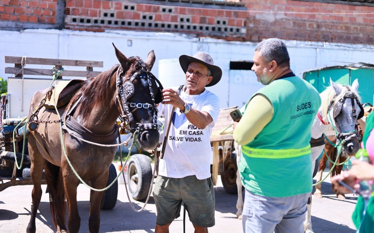 Prefeitura de Maceió beneficia carroceiros com ações socioambientais e de saúde animal