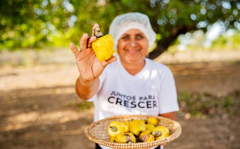 Associação de Estrela de Alagoas recebe sistema de energia solar do Programa Alagoas Maior