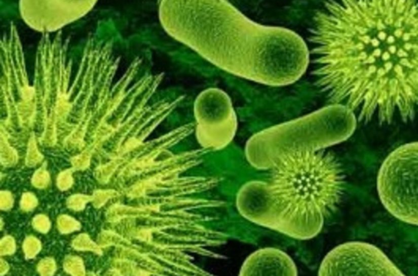 Santa Casa faz alerta à sociedade no Dia Mundial de Combate à Sepse