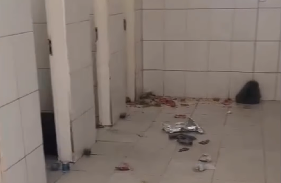 Captura de tela 2026-01-27 143614 / Foto: Foto: redes sociais