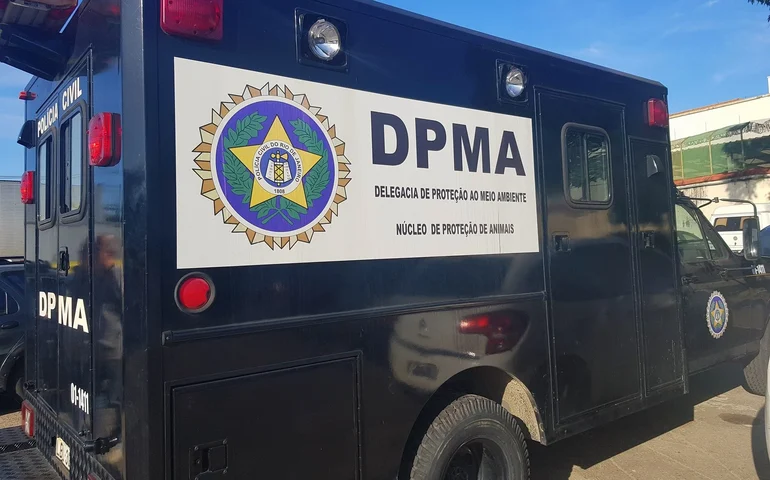 Cadela idosa é agredida por passeador dentro de elevador no Leblon; polícia pede prisão dele