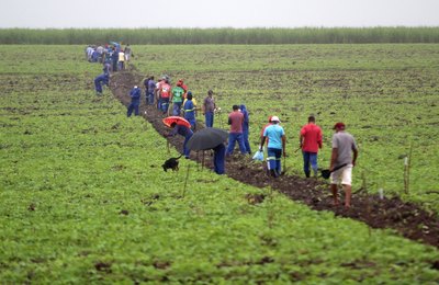 Projeto Maná: Prefeitura de Coruripe inicia entrega de lotes aos agricultores contemplados