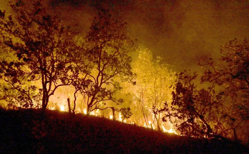 Queimadas persistem na Amazônia; cidades do PA superam 1 mil focos