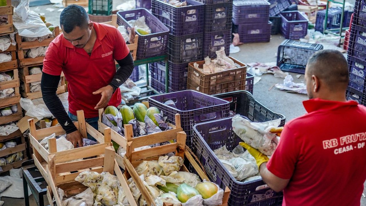 Governo anuncia crédito de R$ 97,3 bi para agricultores familiares