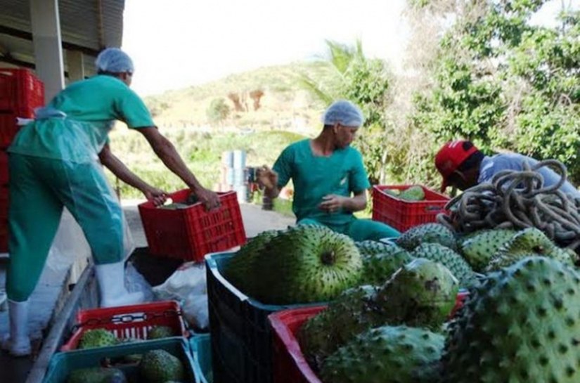 Novo Programa da Desenvolve beneficia associações e cooperativas