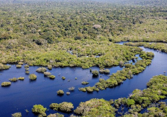 Projeto documenta os ritmos musicais da Amazônia
