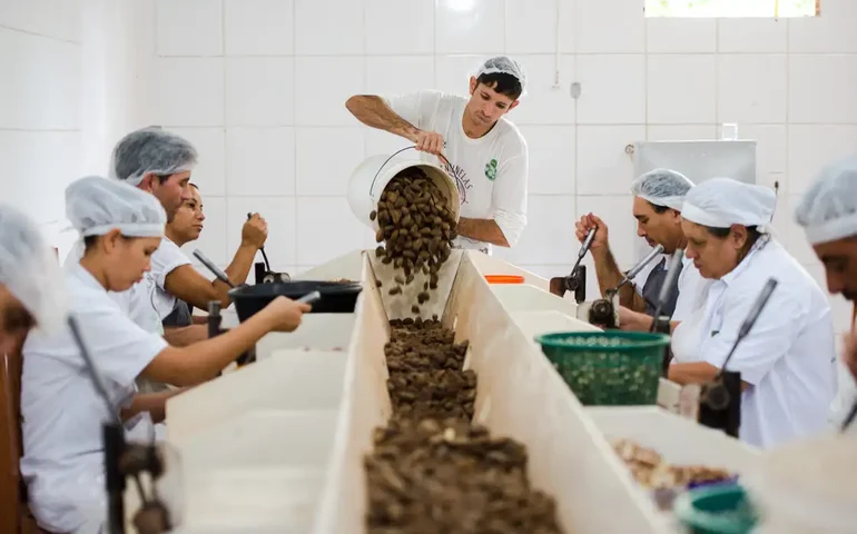 Alagoas conquista destaque nacional em capacitações para cooperativas