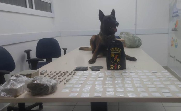 Cão K9 Nero localizou uma maior quantidade de drogas escondidas dentro de um guarda-roupas na casa do suspeito