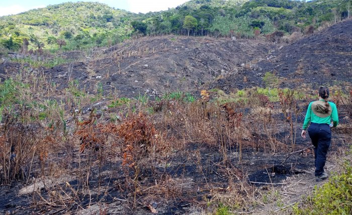 Incêndio registrado na Área de Proteção Ambientel de Murici