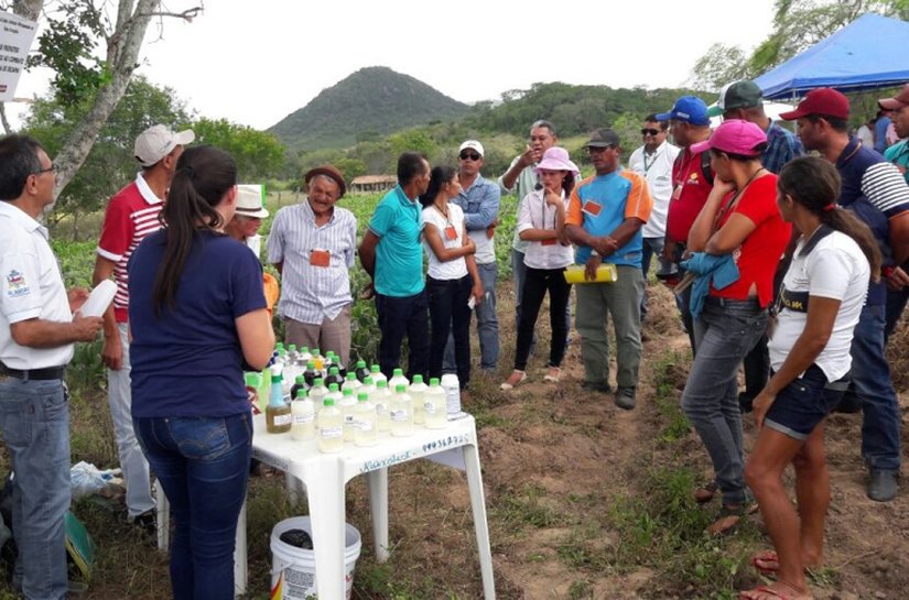 Pequenos produtores aprendem técnicas sobre adubação nitrogenada