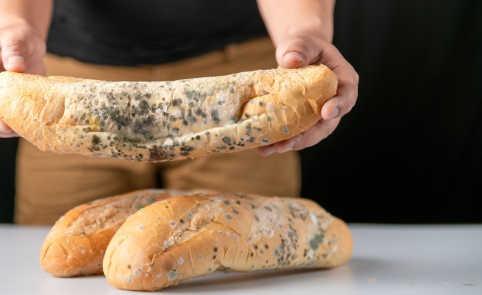 Pão com bolor
