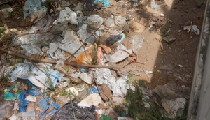 Corpo é encontrado em estado de putrefação no antigo Complexo Ferroviário de Aracaju