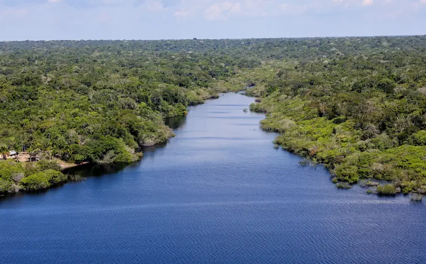 83% das empresas da pecuária não revelam compromissos ambientais, diz ONG Global Canopy