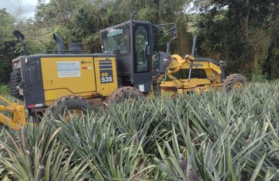Programa Caminho da Roça garante geração de renda e melhoria na produção rural de Arapiraca 