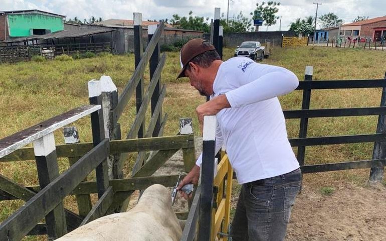  Adeal alerta criadores sobre prazos para vacinação e declaração da aftosa 