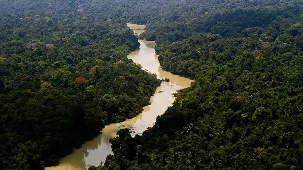 Lei aprovada em Mato Grosso quer converter Amazônia em Cerrado