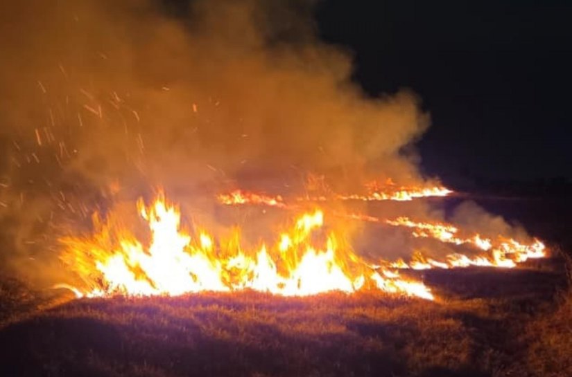 Corpo de Bombeiros registra 16 incêndios em vegetação em um único dia em Alagoas