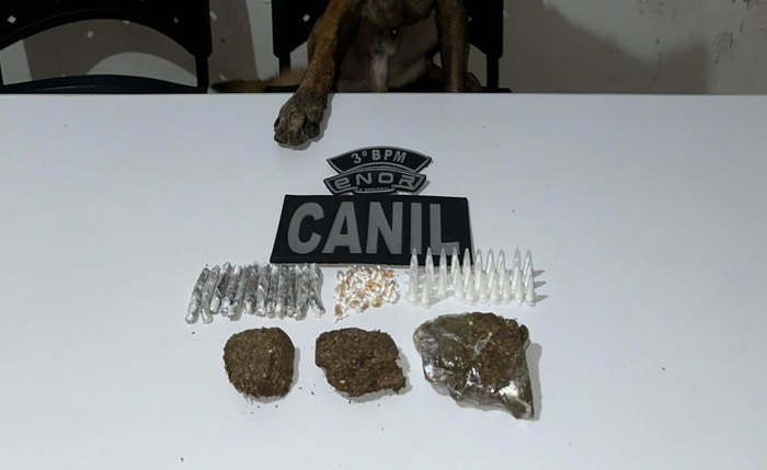 Balanço aponta ainda 137 Termos Circunstanciados de Ocorrência (TCOs)