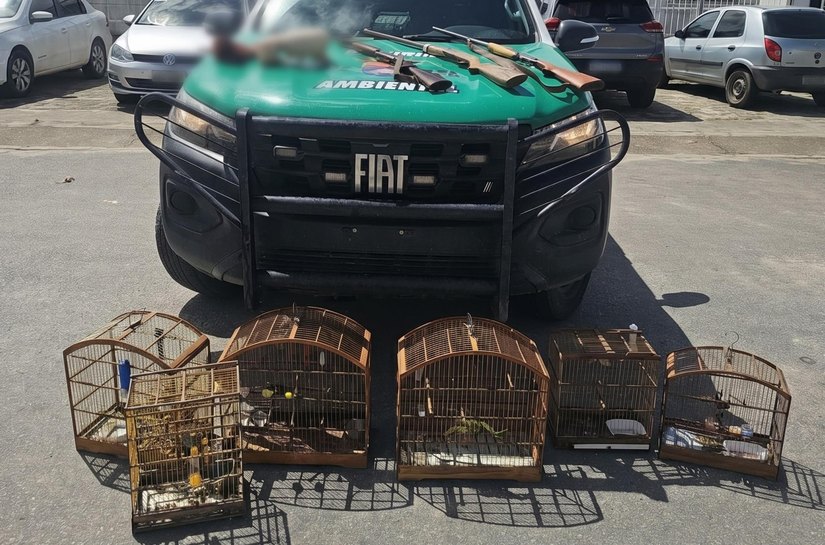 PM-AL apreende animais silvestres e três armas em operação ambiental no Litoral Norte