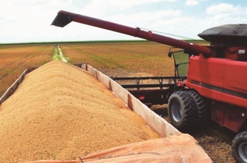 Governo de AL promove Dia de Campo sobre soja em Campo Alegre