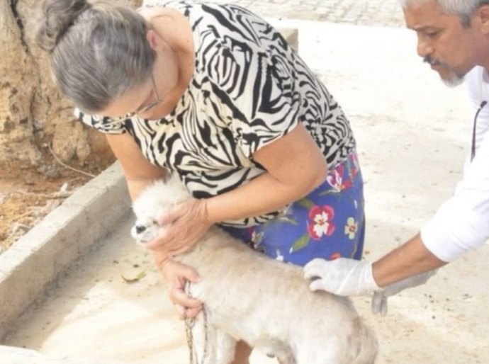 Campanha de vacinação antirrábica começa dia 27 de setembro em Palmeira