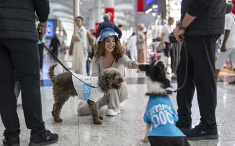 Istambul adota cães treinados para reduzir estresse de passageiros em aeroporto internacional