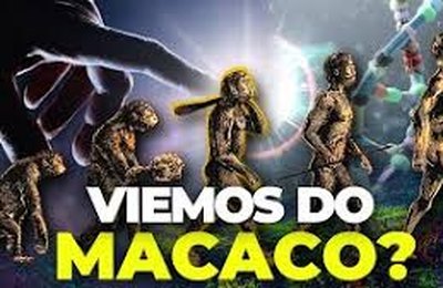 Quando o cidadão desaparece e nasce o personagem político