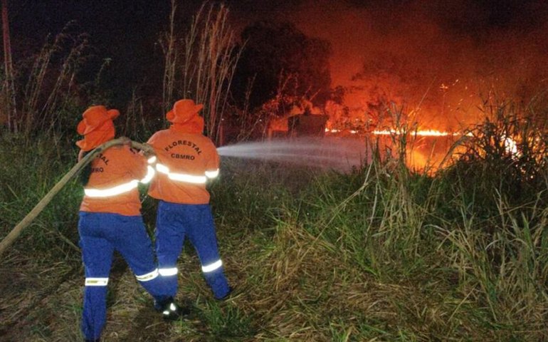 Todos os biomas do Brasil registram focos de incêndios nesta sexta