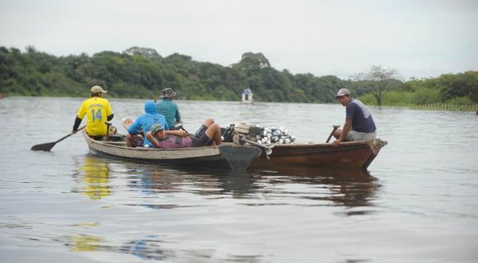 pesca
