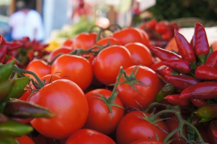 Sesc/AL promove o Seminário de Segurança Alimentar e Nutricional