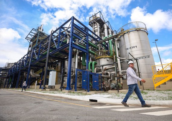 Secretaria da Agricultura de SP reativa Câmara Setorial de Açúcar, Etanol e Bioenergia